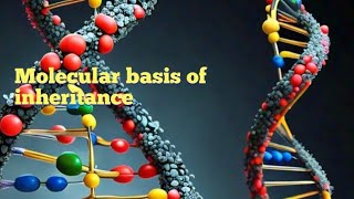 MOLECULAR BASIS OF INHERITANCE CHAPTER 6 CLASS 12TH FOR BOARD NEET AND COMPETITIVE EXAMS [upl. by Namor]