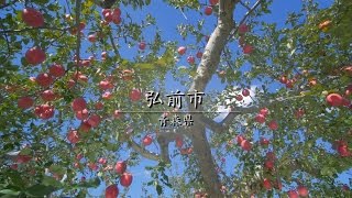 【青森県】弘前市でりんご尽くしな1日／Apple picking in Hirosaki（Aomori Japan） [upl. by Leinahtam107]