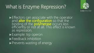 Enzyme induction and repression [upl. by Neehahs]