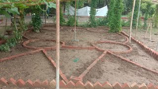 Herbal Garden 🌿☘️🌿☘️ viral viralvideo youtubevideo herbal medicinalplant garden plants ❤️❤️ [upl. by Arimay]