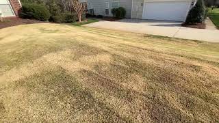 Zoysia Grass Seed Season 4 Starts [upl. by Fransen]