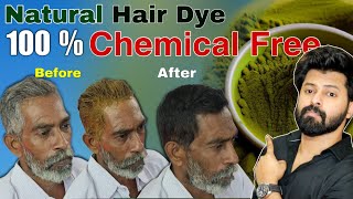 Natural Hair Dye Really Works  Henna Indigo  English Subtitles  Shadhik Azeez [upl. by Betthezel753]