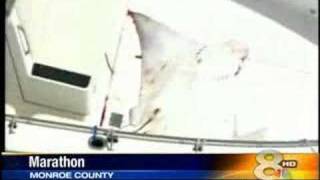 Stingray Kills Woman [upl. by Uriah98]