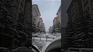 Kabul Snow [upl. by Jesher532]