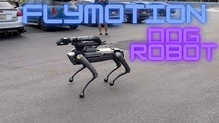 BOSTON DYNAMICS SPOT  FLYMOTION  DOG ROBOT [upl. by Omora561]