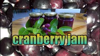 How to make cranberry jam cranberry jam [upl. by Nauqyt]