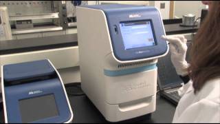 Amplify Sample with The StepOnePlus™ Real Time System qPCR step 6 [upl. by Nyar]