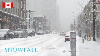 Heavy SNOWFALL  Arctic Air brings LakeEffect Snow to Barrie Ontario Canada Weather  4K snow video [upl. by Jeanine]