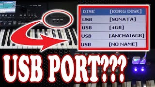 KORG PA600 USB PORT MODIFICATION [upl. by Genevra947]