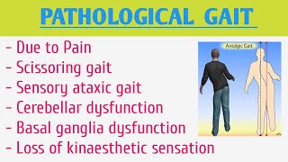 Pathological Gait [upl. by Acinot904]