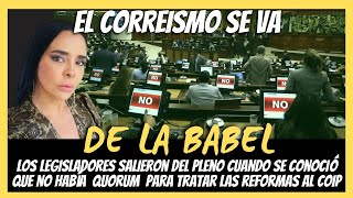 envivo EL CORREISMO SIN APOYO  LA VOZ DEL PUEBLO [upl. by Torray984]