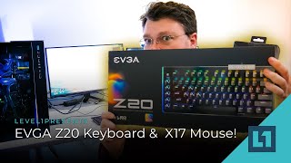 Lets Look At EVGA Z20 Keyboard amp X17 Mouse [upl. by Shulman307]