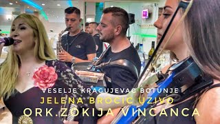 Jelena Broćić orkZOKIJA VINCANCA veselje Kragujevac Botunje 2024 splet najlepših pesama [upl. by Meris]