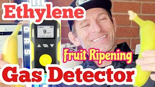 Ethylene Gas Detector for Fruit Produce Ripening [upl. by Aserej]