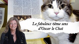 Le fabuleux 6ème sens dOscar le Chat [upl. by Attaynek]