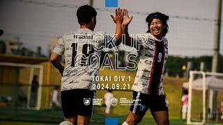 【PICK UP GOALS】ソサイチ東海リーグ1部 第6節 [upl. by Anohs145]