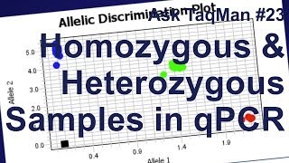 Homozygous vs Heterozygous Samples in qPCR  Ask TaqMan 23 [upl. by Iolenta]