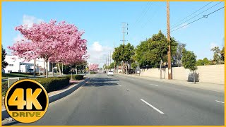 Driving Tour of Imperial Hwy Carmenita Rd amp Rosecrans Ave La Mirada to Norwalk 4K [upl. by Anitsyrk]