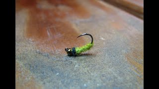 Fly Tying a Jigged Caddis Larva Euro Nymph [upl. by Je]