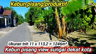 Di jual kebun pisang produktif view sungai mepet kota [upl. by Ahsiak]