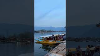 Dal Lake⛵ shorts youtubeshorts viralshort shortvideo kashmir Viralvideo Vibe View nature [upl. by Westmoreland]