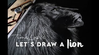 Hyperrealistic Pencil Drawing Time Lapse  How to Draw a Lion [upl. by Kamat]