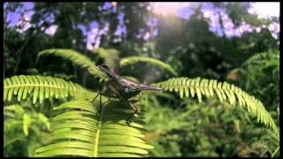 Stink Bug in Flight [upl. by Questa]