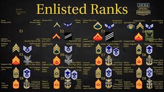 US Military All Branches ENLISTED Ranks Explained [upl. by Nicoline]