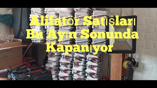 Alifatör satışları kapanıyor [upl. by Robbin]