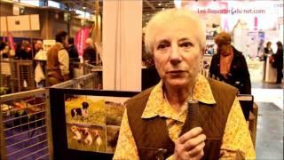 Epagneul Breton  Reportage au salon de lAgriculture [upl. by Hattie]