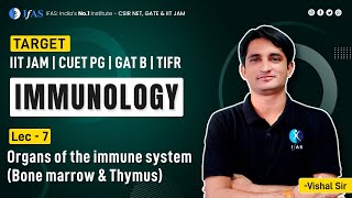 Organs of the immune system Bone marrow amp Thymus  Immunology  L7  IFAS [upl. by Carma]