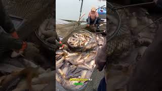 China Amazing Fishing Technique Part 2 [upl. by Anirok392]