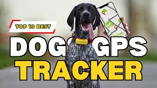 Top 10 Best GPS Pet Trackers in 2024  Cheapest GPS Dog Collar Reviews  DogDingDa [upl. by Sonnnie]