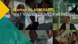 Wat vinden de medewerkers van werken bij ABN AMRO [upl. by Nashner]