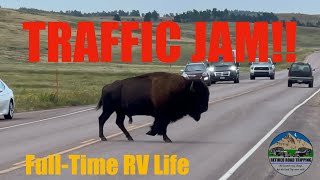 Full Time RV Life  Custer State Park  Jewel Cave  EP45 [upl. by Llehsal346]