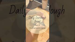 Daily Sourdough Bread  Part 3  Preshaping and shaping [upl. by Gurias382]