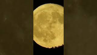 super moon 🌝❤️💕 short video [upl. by Chung]