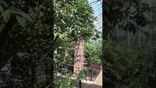 Touring Planting Fields Arboretum Oyster Bay New York Part 2 [upl. by Dotty568]