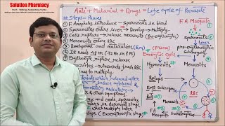 Topic 22 Antimalarial Drugs  Life Cycle of Malaria and Classification of Antimalarial Drugs [upl. by Huei]