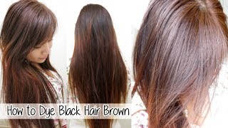 How to Dye Hair from Black to Brown Without Bleach l Loreal HiColor Vanilla Champagne [upl. by Tayib]