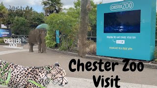 Chester Zoo Visit  2023 New Quick Tour  A few surprises along the way [upl. by Renzo402]