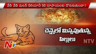 Cat Meat Biryani Served in Chennai Roadside Canteens  Cat Biryani Sales in Chennai  Focus  NTV [upl. by Dnalram]