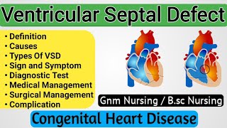 Ventricular Septal Defect  Ventricular Septal Defect Pediatrics  Congenital Heart Disease [upl. by Akkina]