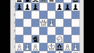 Chess queen trap in Petroff  Petrov  Russian Game defence plus tactics themes lessons [upl. by Helman]