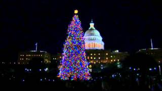 Raw Boehner Lights Christmas Tree at Capitol [upl. by Ready663]