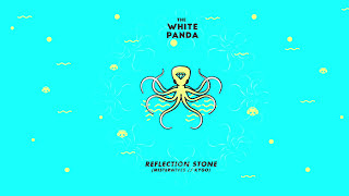 The White Panda  Reflection Stone MisterWives  Kygo [upl. by Atilef]