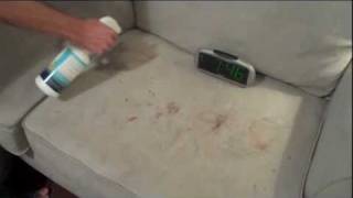 MyPetPeedcom My Pet Peed Removing Blood Stain from Tan Couch [upl. by Akinnej]