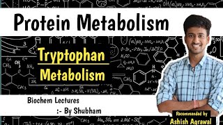 Tryptophan Metabolism  Protein Metabolism Biochemistry Lectures [upl. by Ynnatirb697]