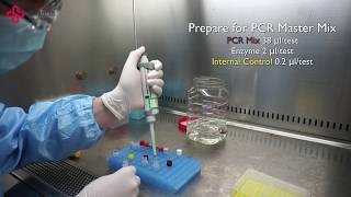 Sansure HBV Nucleic Acid One Step Fast Release Method Demo [upl. by Rotkiv]