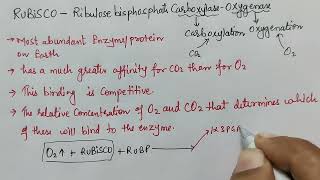 Functions of RuBisCO enzyme neet2024 rubiscoinhindi roleofrubiscoenzyeinhindi [upl. by Nylek]